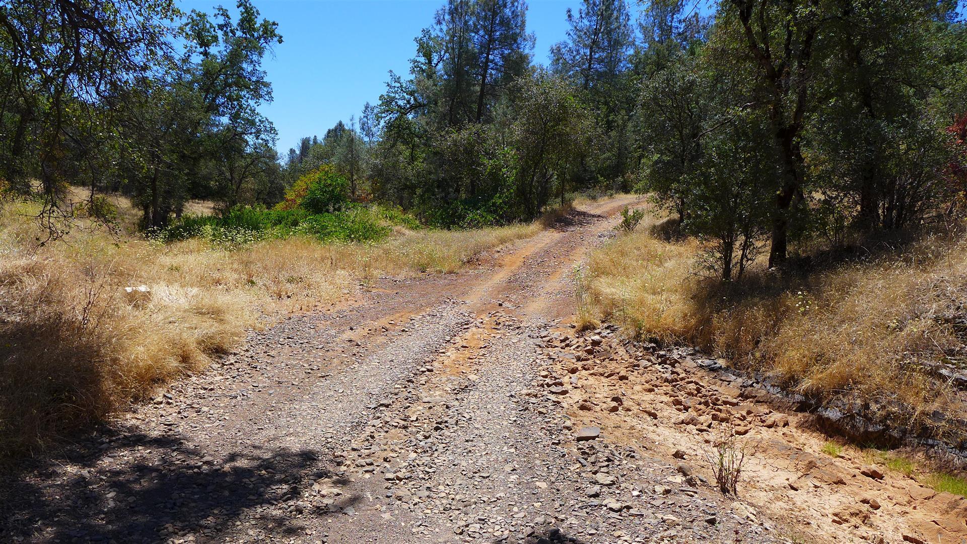 30-acres Aloha Road Bella Vista, CA 96008 - Photo 9 of 21 P1070805