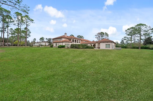 a view of a house with a big yard and a large tree