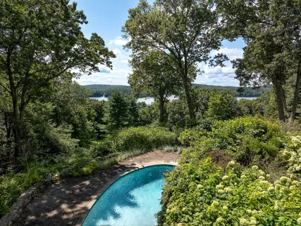a view of a garden with large trees