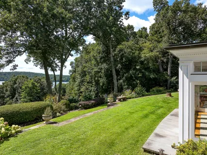 a view of a backyard with large trees