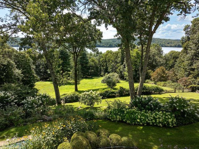 a view of a garden with a tree
