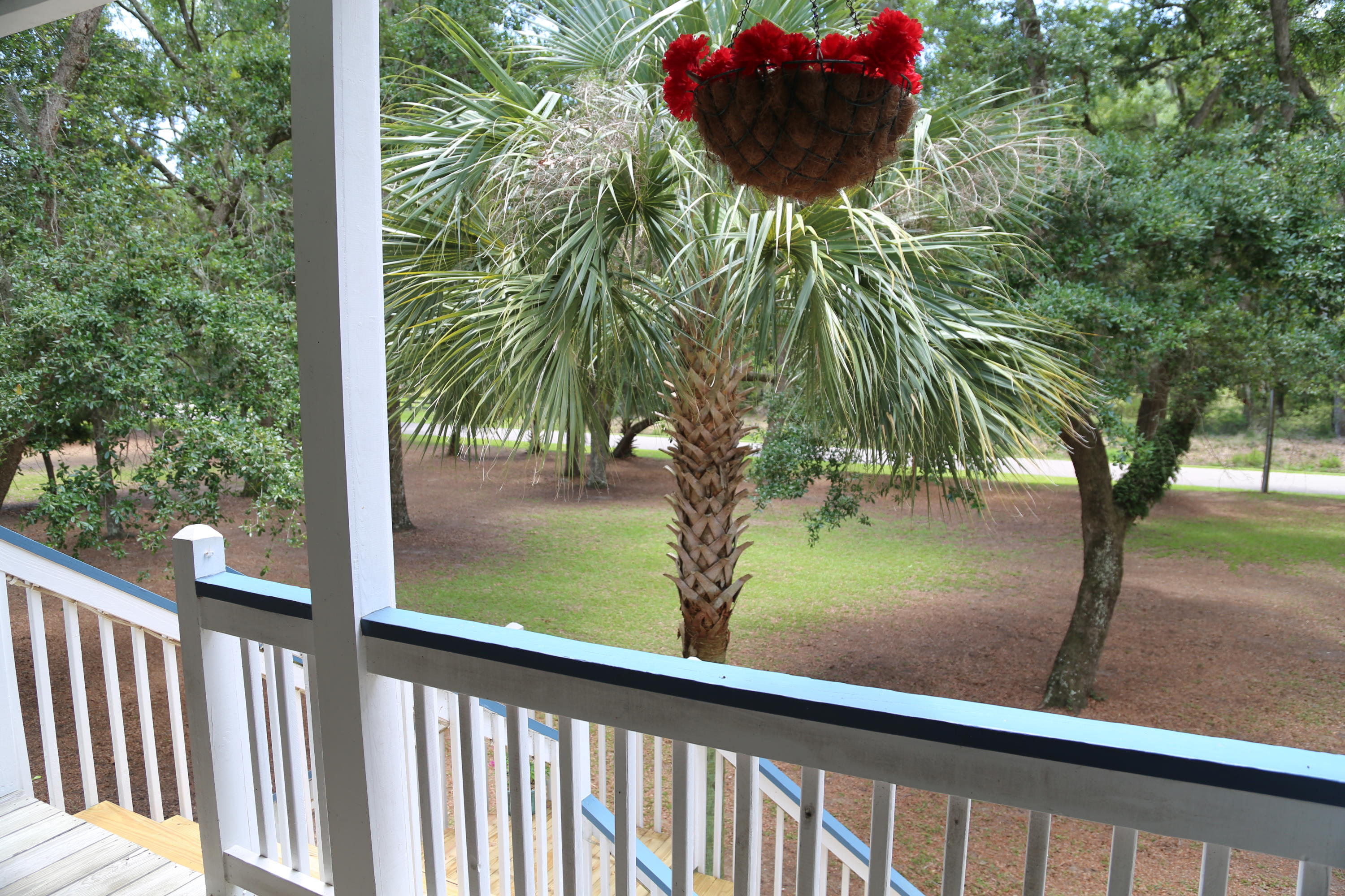 8676 Palmetto Road Edisto Island, SC 29438 - Photo 13 of 65 IMG_2098