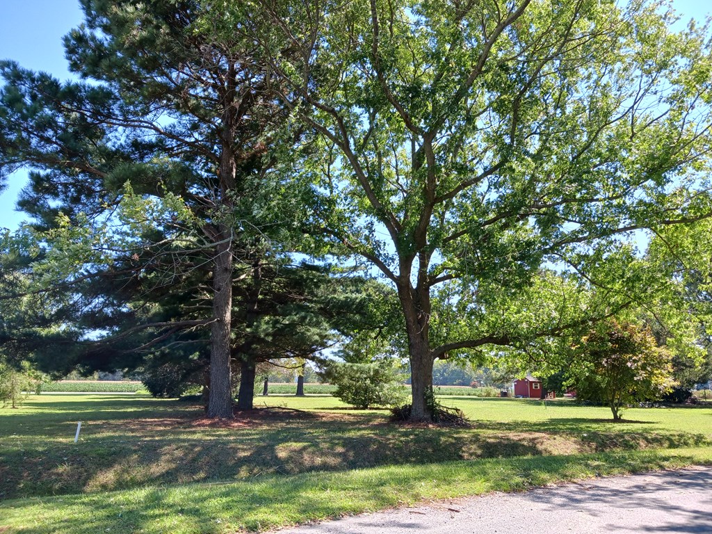 Lot 14 Southwind Road, Unit 14 Atlantic, VA 23303 - Photo 2 of 4