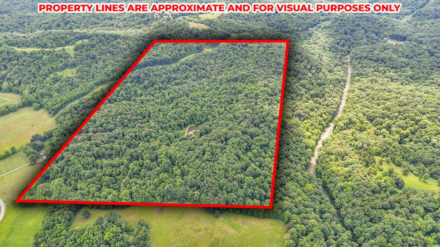 16749 Mush Run Road Athens, OH 45701 - Photo 24 of 37 36-web-or-mls-DJI_20260622130810_0700_D