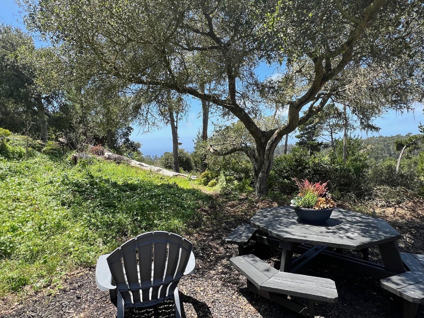 24312 San Juan Road Carmel, CA 93923 - Photo 45 of 47
