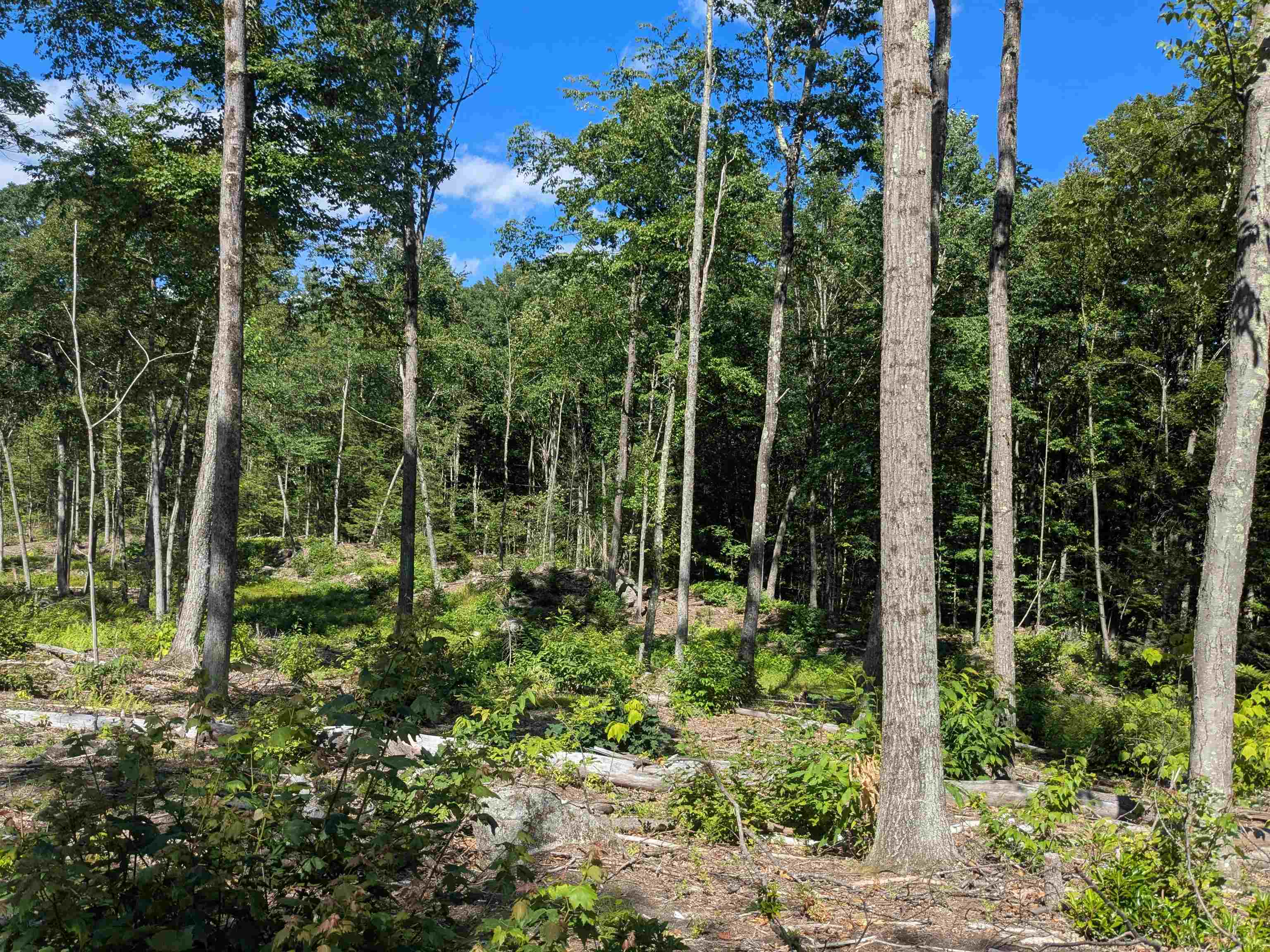 0 Old Hinsdale Road Winchester, NH 03470 - Photo 6 of 16