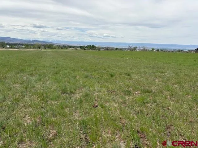 a view of an ocean and beach