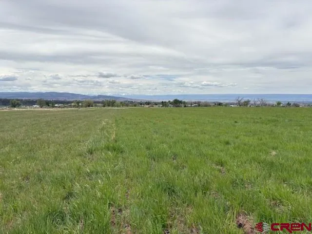 a view of an ocean and beach