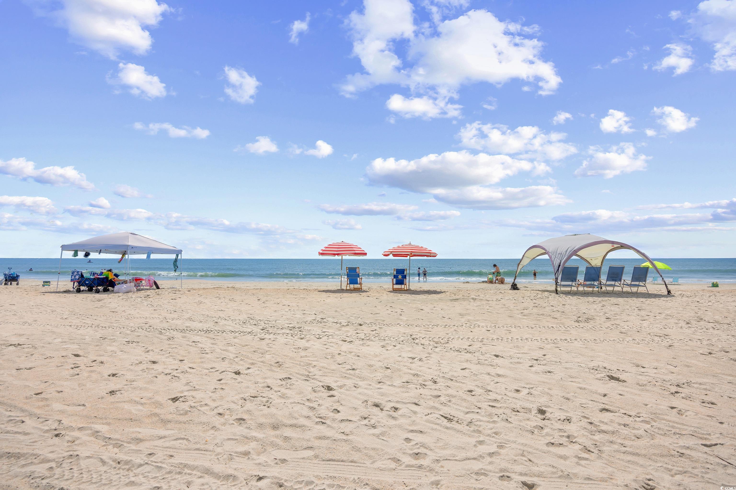 40 Seaview Loop Pawleys Island, SC 29585 - Photo 30 of 34 Water view with local beach