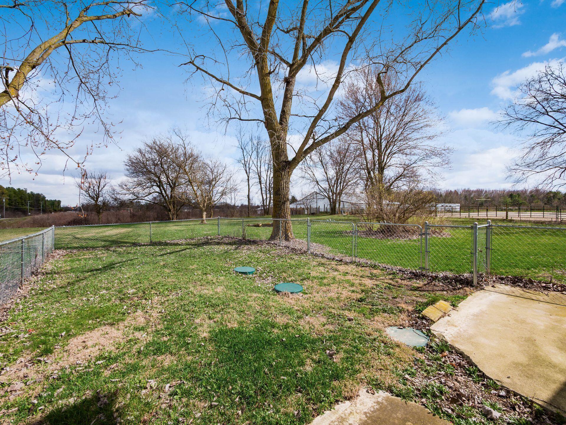 9557 Marysville Road Ostrander, OH 43061 - Photo 33 of 39 dog run