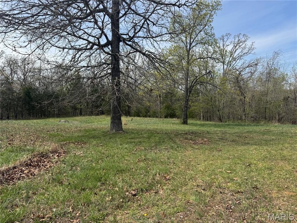21050 Eatherton Road St. Mary, MO 63673 - Photo 2 of 28