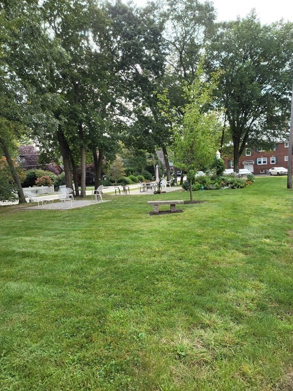 7 Lewis Road, Unit 2 Winchester, MA 01890 - Photo 13 of 13 a view of a park with large trees