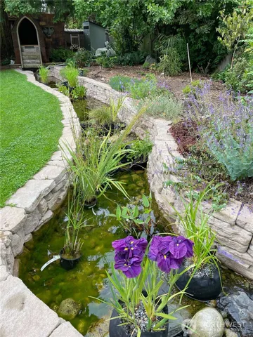 a view of a garden with plants and large trees