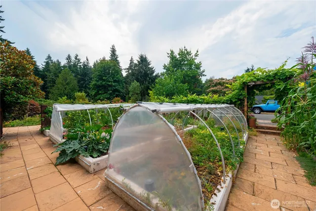 a view of a garden with plants