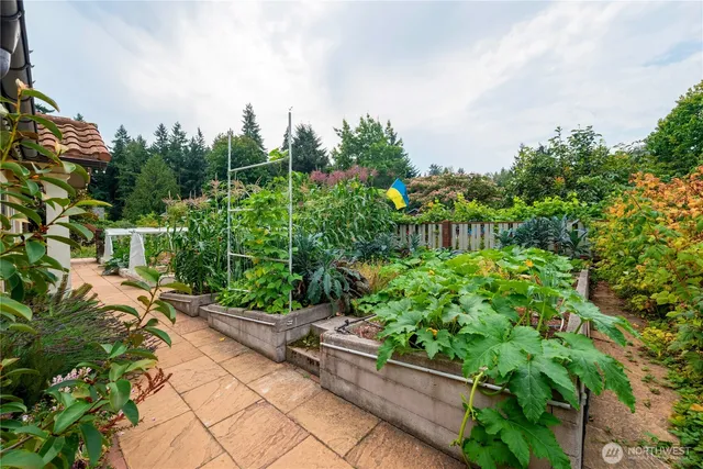 a view of a garden with plants and trees