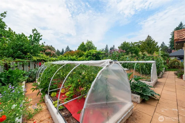 a view of a yard with potted plants