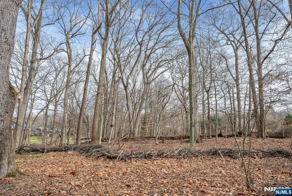 155 Hickory Lane Closter, NJ 07624 - Photo 3 of 34