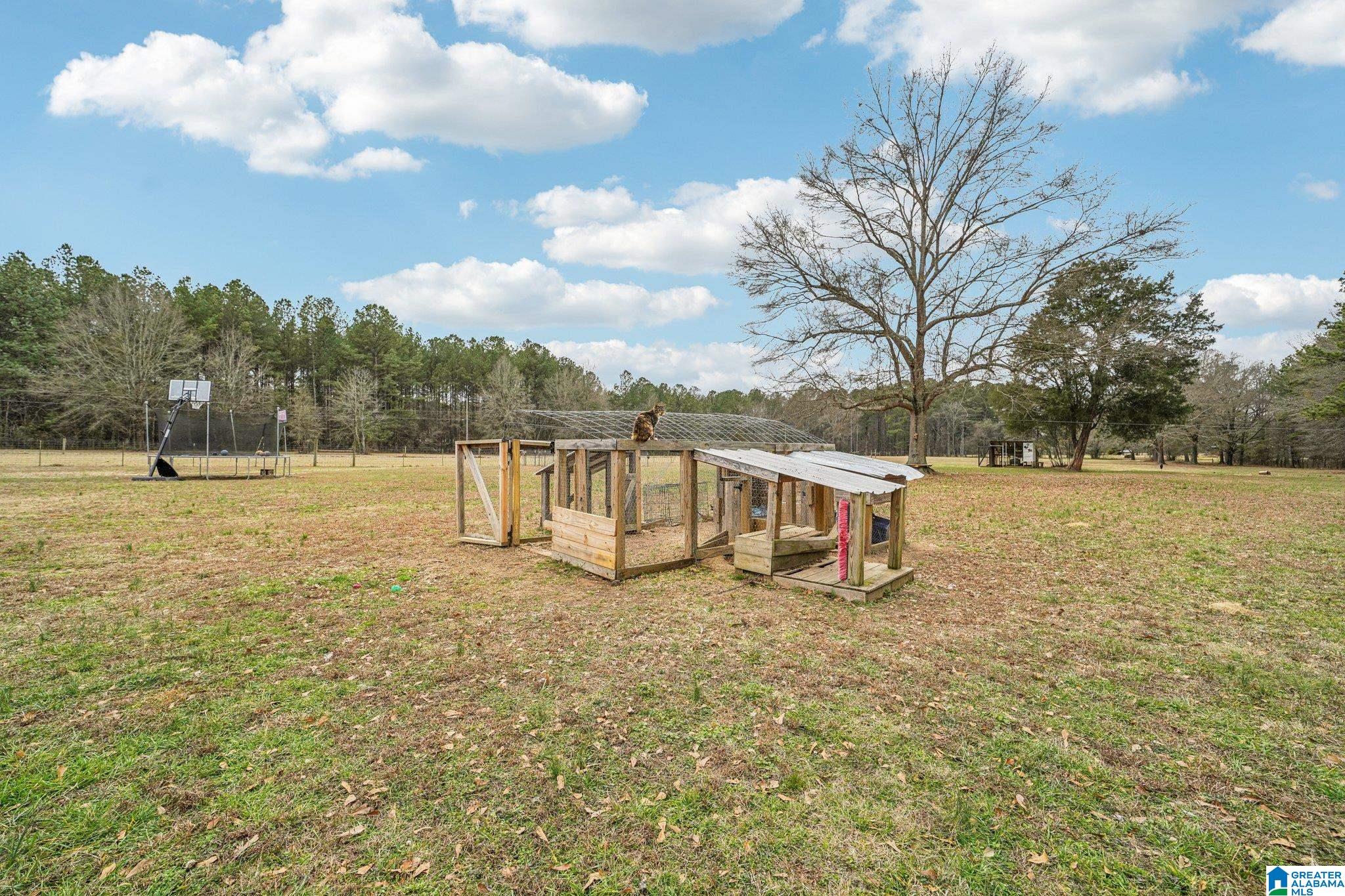383 Country Church Road Harpersville, AL 35078 - Photo 45 of 72