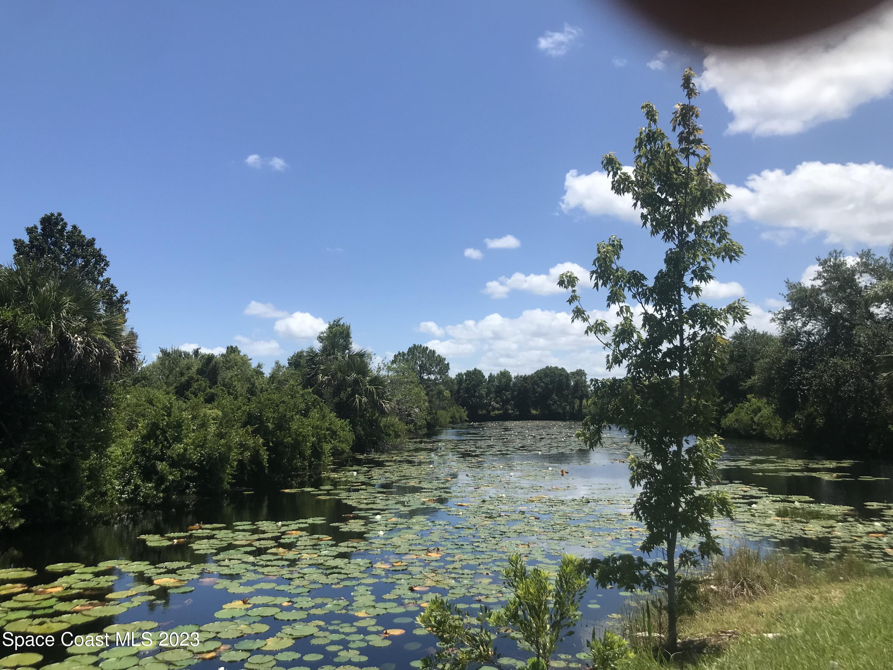 2525 Malabar Road Malabar, FL 32950 - Photo 20 of 30 a view of a lake with a tree in the background