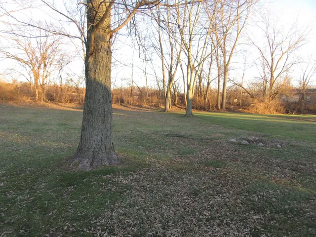 $229,000 | 10547 Baldwin Road, Bridgman, MI 49106