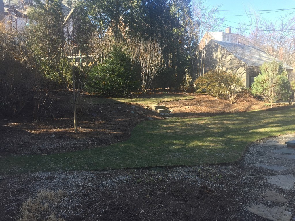 21 Lowell Road Brookline, MA 02445 - Photo 7 of 24