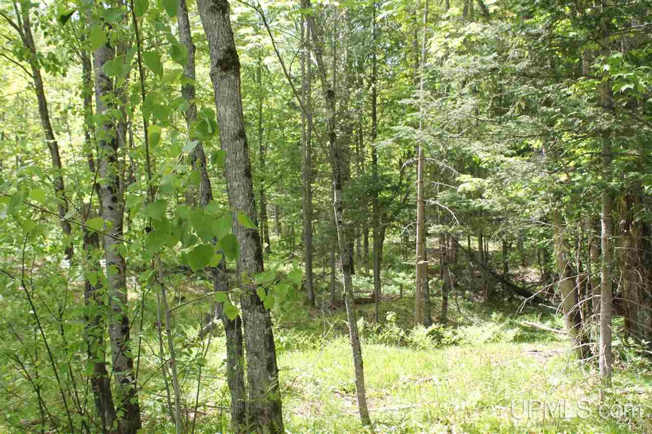 Tbd Off Kyllonen Road, Unit LAT 46 75685 LON 88 7526 Nisula, MI 49952 - Photo 4 of 24
