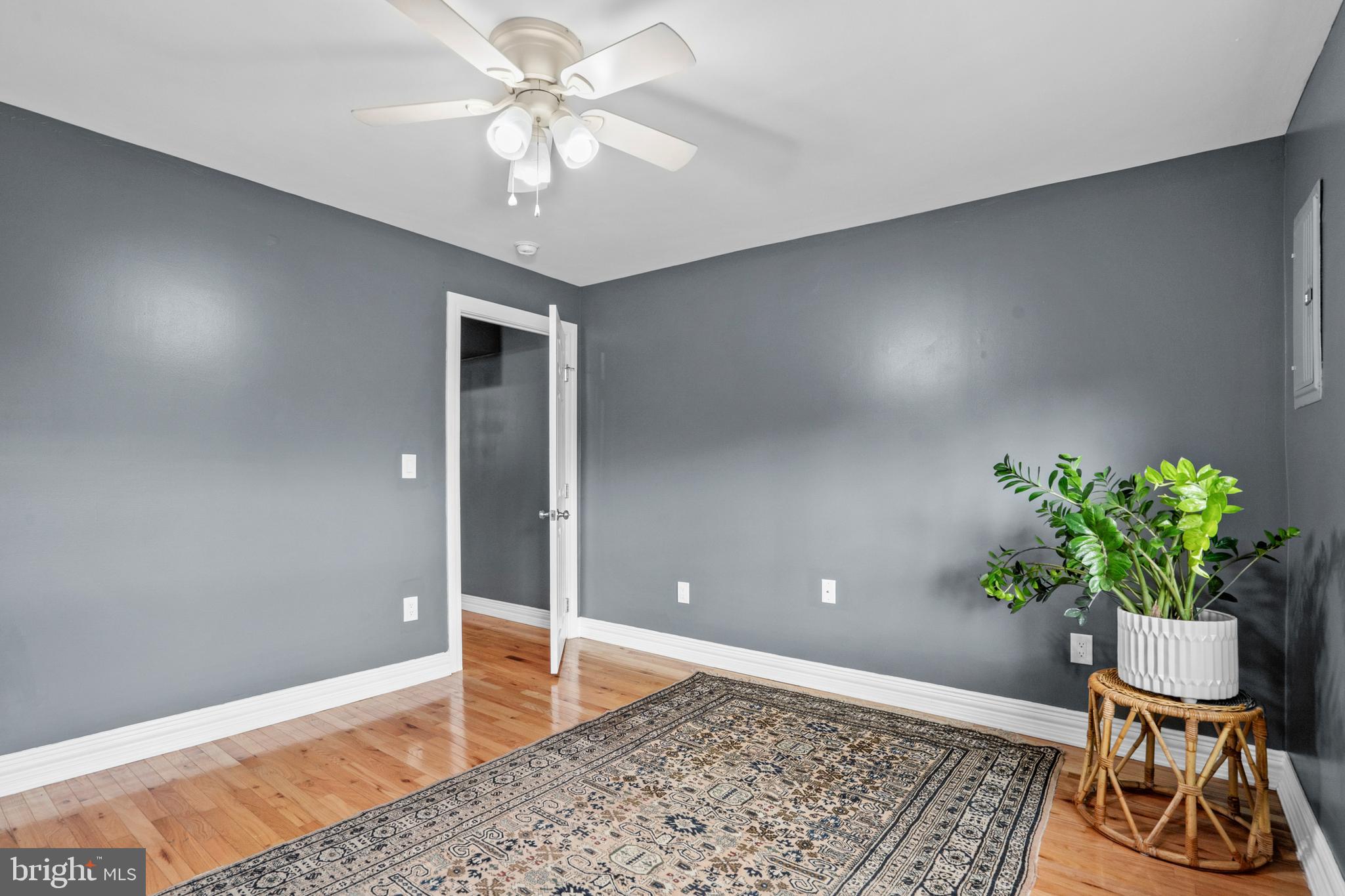 2024 South 12th Street, Unit 2 Philadelphia, PA 19148 - Photo 8 of 21 a view of a hallway with wooden floor and a potted plant