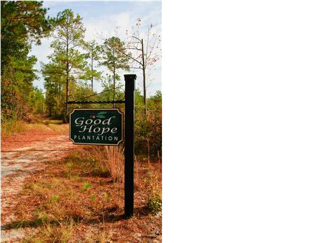 0 Elf Jac Way Ridgeville, SC 29472 - Photo 1 of 14 Primary Photo