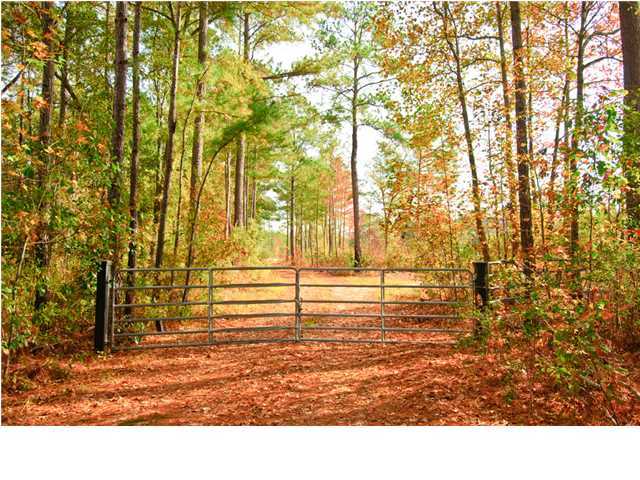 0 Elf Jac Way Ridgeville, SC 29472 - Photo 10 of 14 Additional Photo