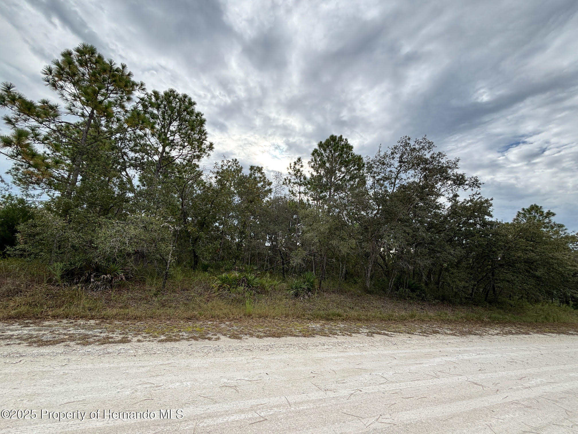 Lot 1 Missouri Skylark Road Weeki Wachee, FL 34614 - Photo 4 of 10