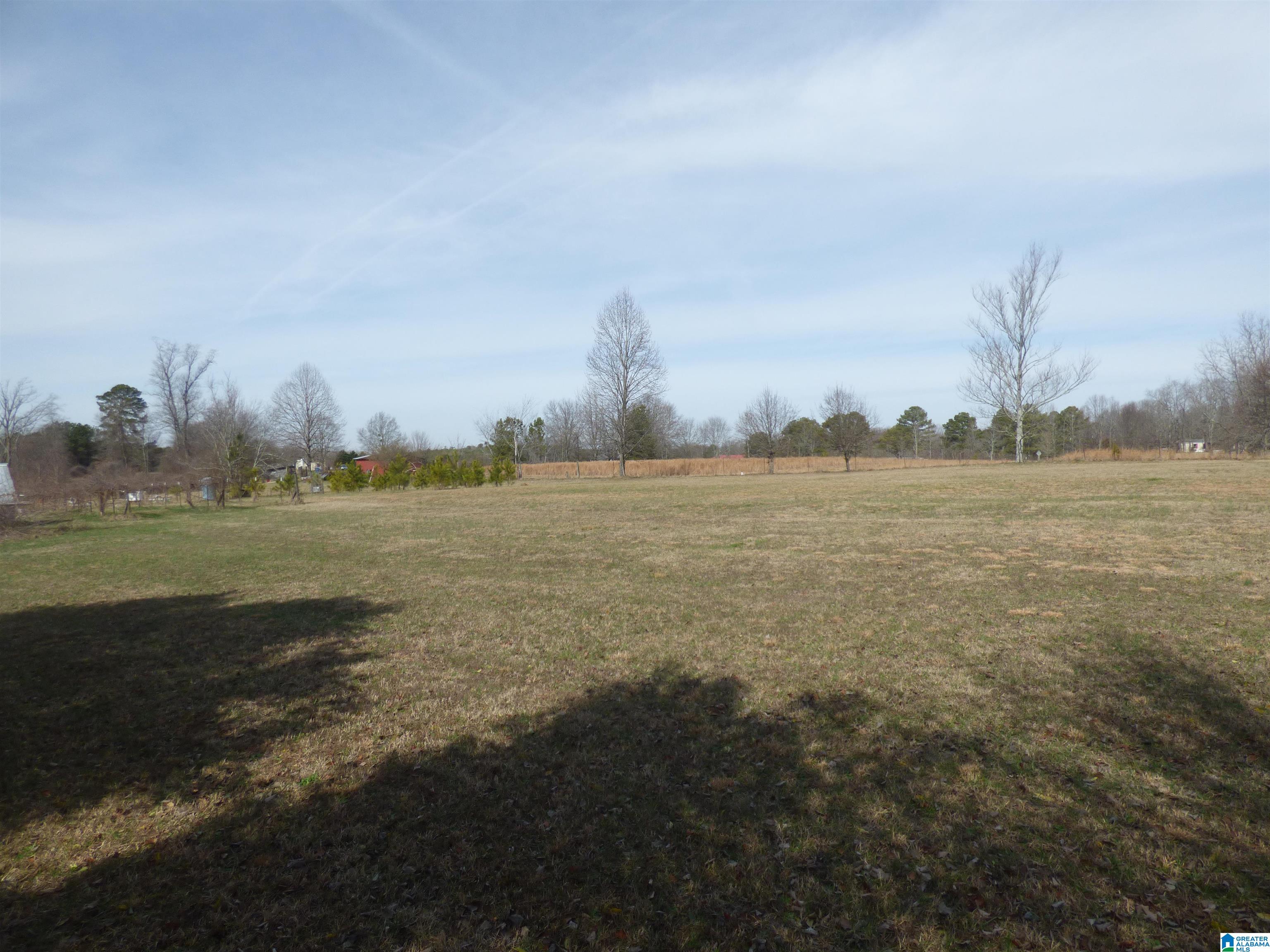 114 Haynes Road Altoona, AL 35952 - Photo 4 of 49