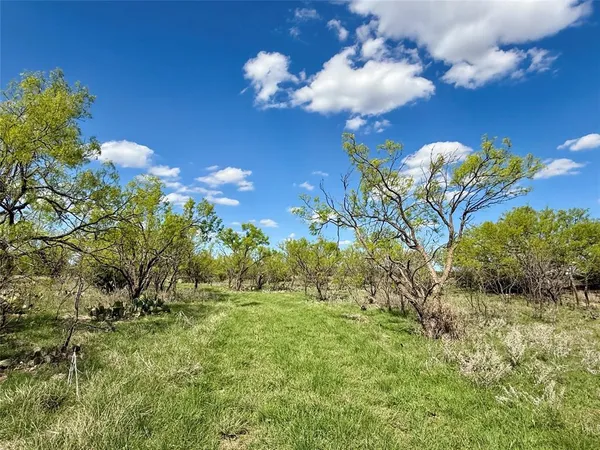 $920,100 | 258 County Road 206, Ovalo, TX 79541