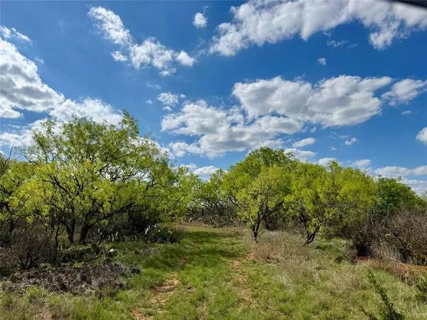 $920,100 | 258 County Road 206, Ovalo, TX 79541