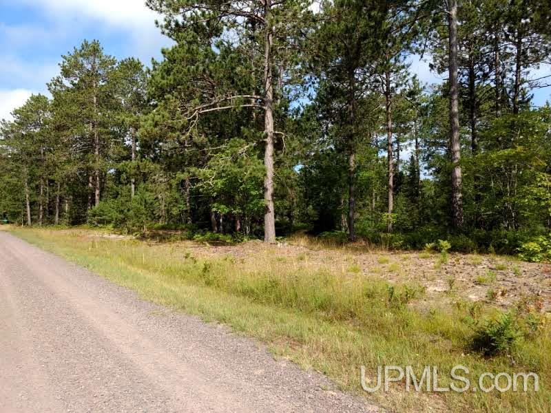 Unit 38-tbd Little Rice Lake Road, Unit 38 Lake Linden, MI 49945 - Photo 11 of 28