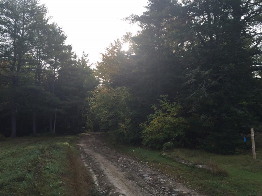 415 Ward Road Topsham, ME 04086 - Photo 17 of 17 Long view down this section of Ward Road