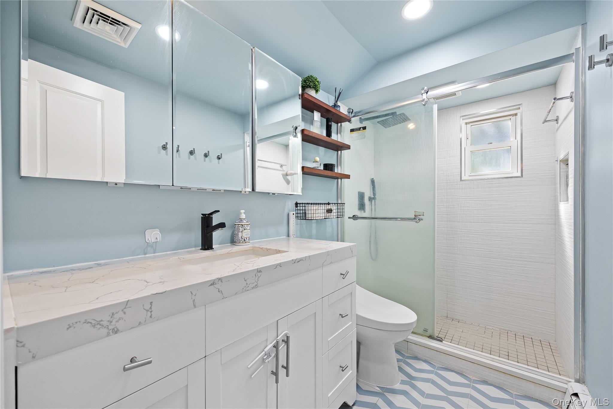 38 Oxford Road Old Bethpage, NY 11804 - Photo 21 of 23 a view of bathroom with a sink a toilet and shower