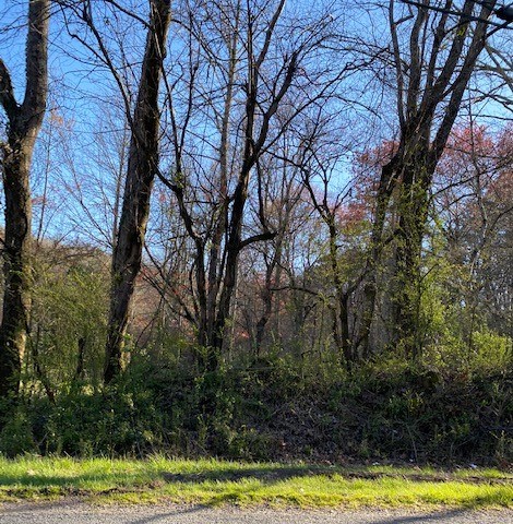 Lot 52 Yellowbird Trail Blue Ridge, GA 30513 - Photo 2 of 5 Gallery Image 2