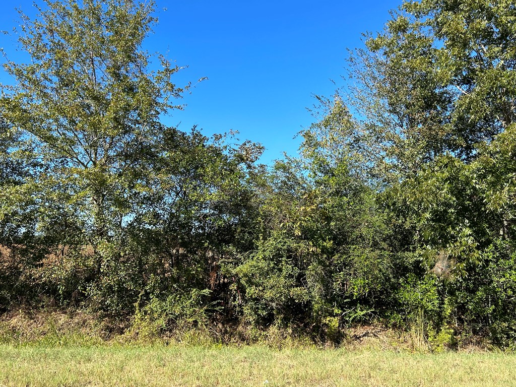5-ac 5-ac Road Cottonwood, AL 36320 - Photo 9 of 23