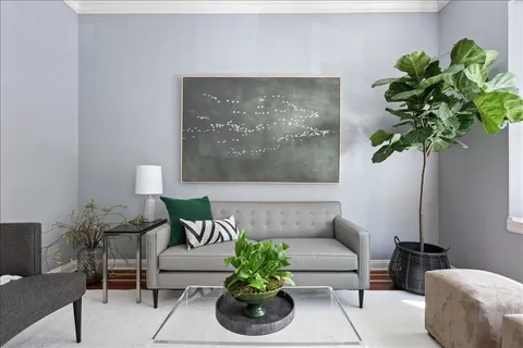 a living room with furniture plant and a potted plant