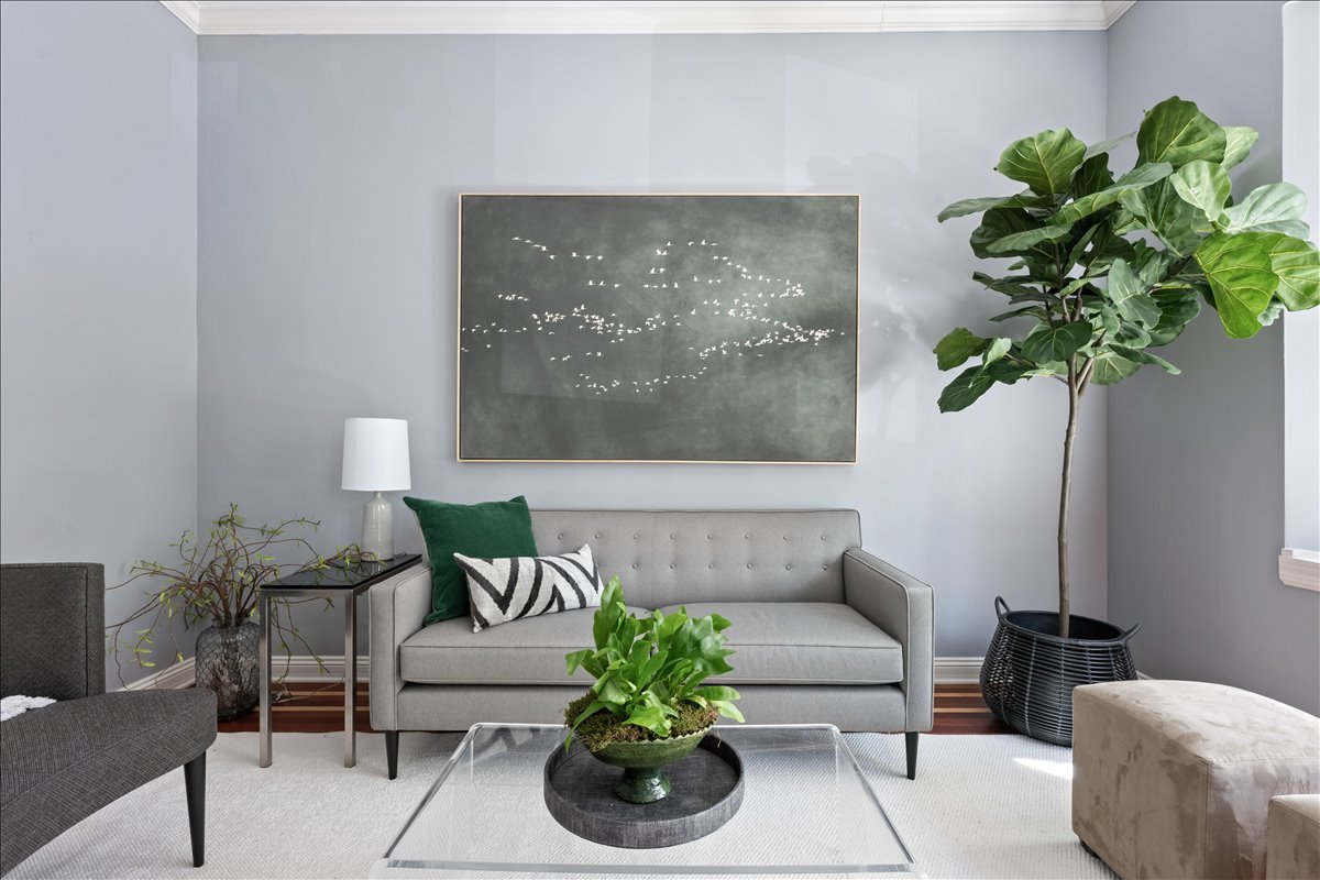 1332 West School Street Chicago, IL 60657 - Photo 6 of 45 a living room with furniture plant and a potted plant