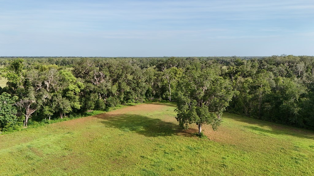 Vacant 145th Road Live Oak, FL 32060 - Photo 6 of 42