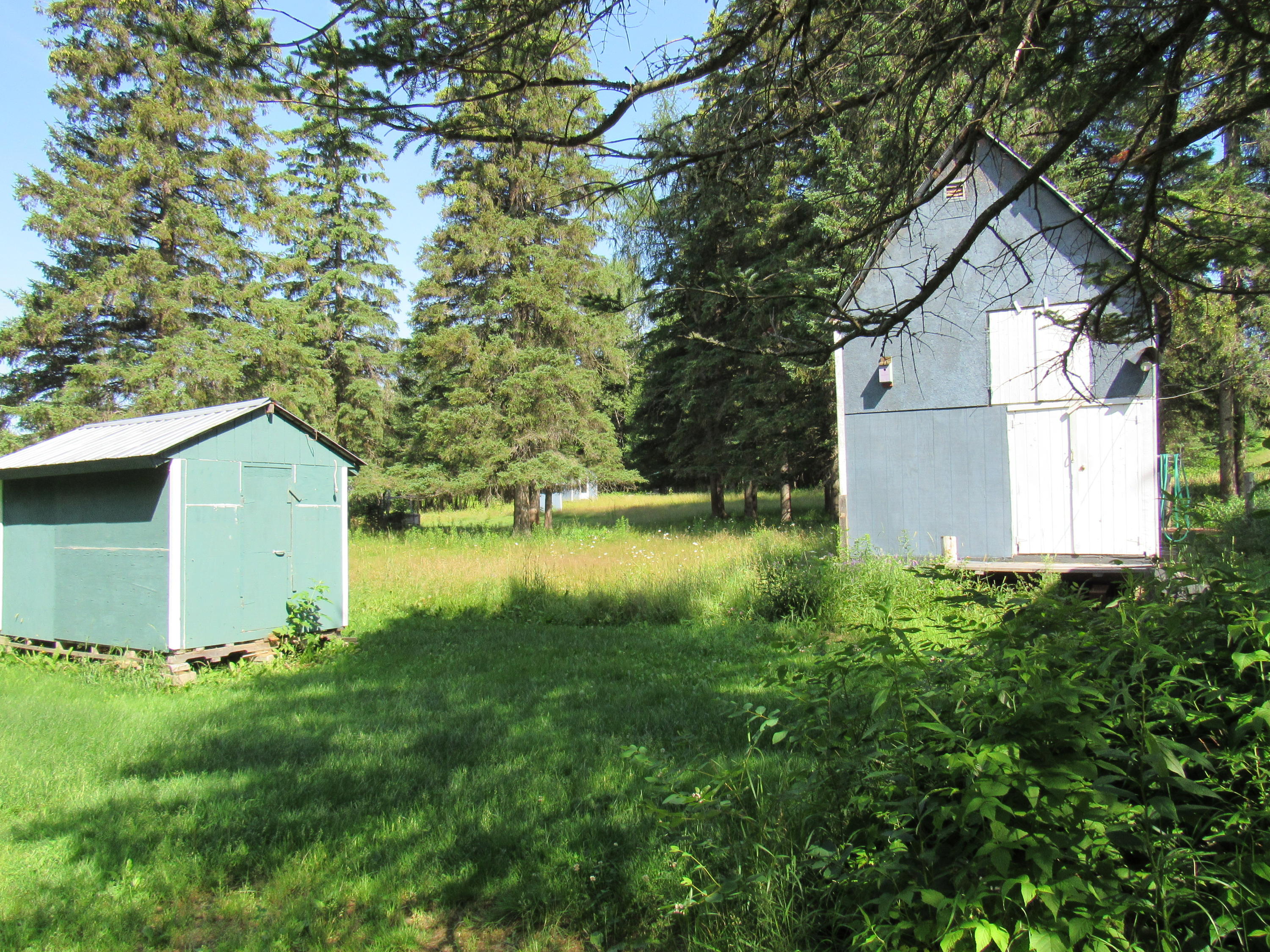 34 Talpey Road Jackman, ME 04945 - Photo 43 of 44 IMG_4475