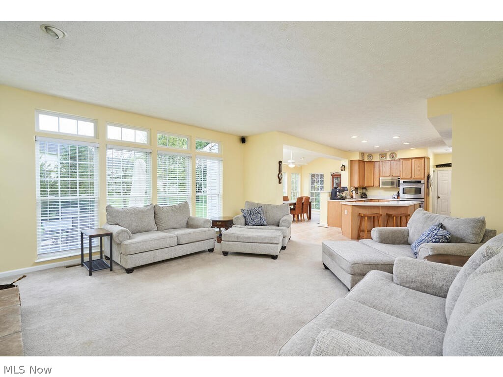 5172 Shillings Way Akron, OH 44321 - Photo 3 of 26 Carpeted living room featuring plenty of natural light and a textured ceiling