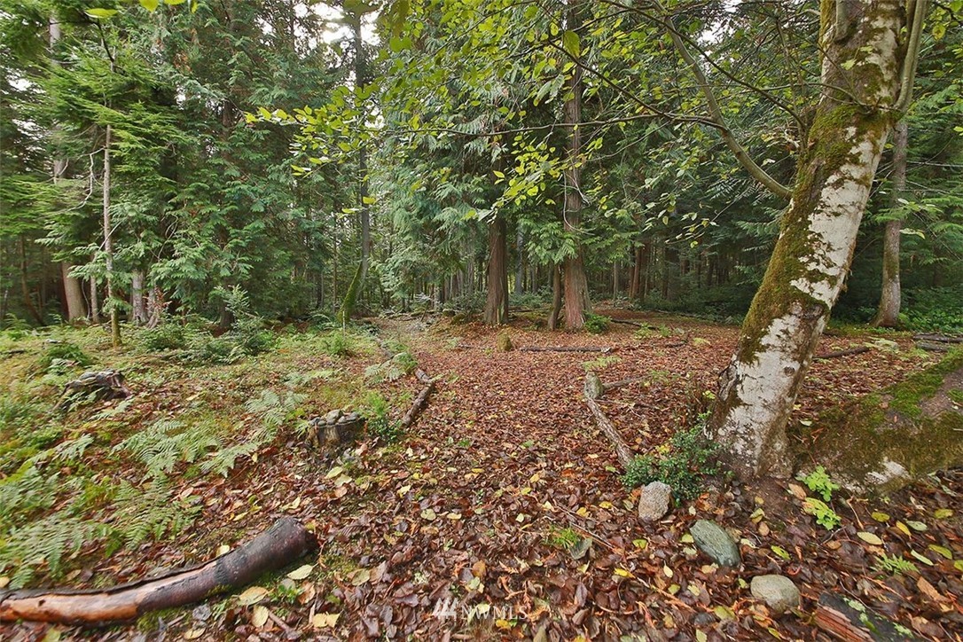 3697 East Rivendell Road Langley, WA 98260 - Photo 18 of 23 Gallery Image 18