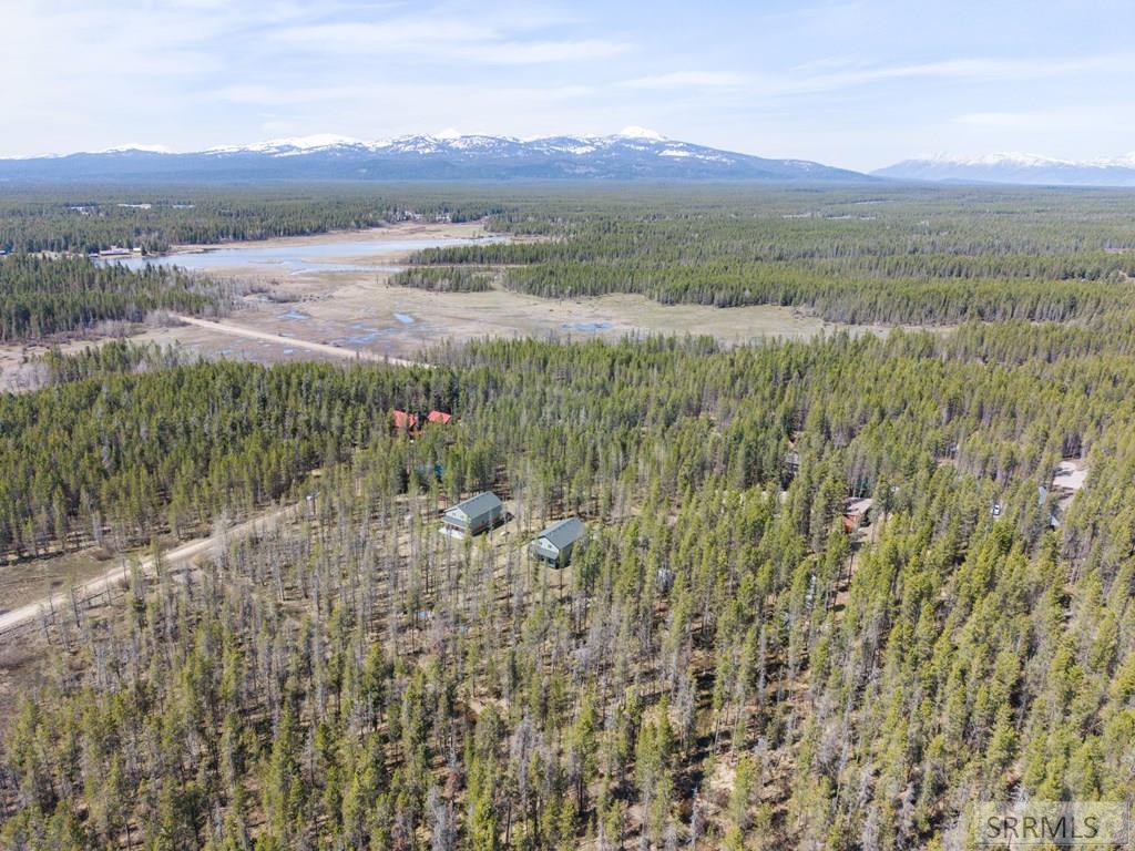 4060 Steelhead Road Island Park, ID 83429 - Photo 43 of 46