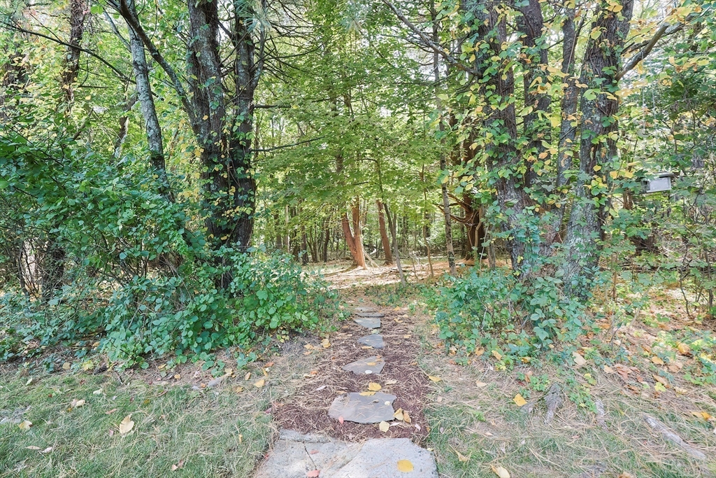 16 Deerfield Road Sharon, MA 02067 - Photo 34 of 38 a view of forest