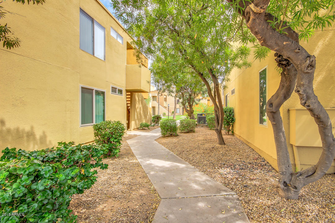 3600 North Hayden Road, Unit 2813 Scottsdale, AZ 85251 - Photo 25 of 33 Hayden-28