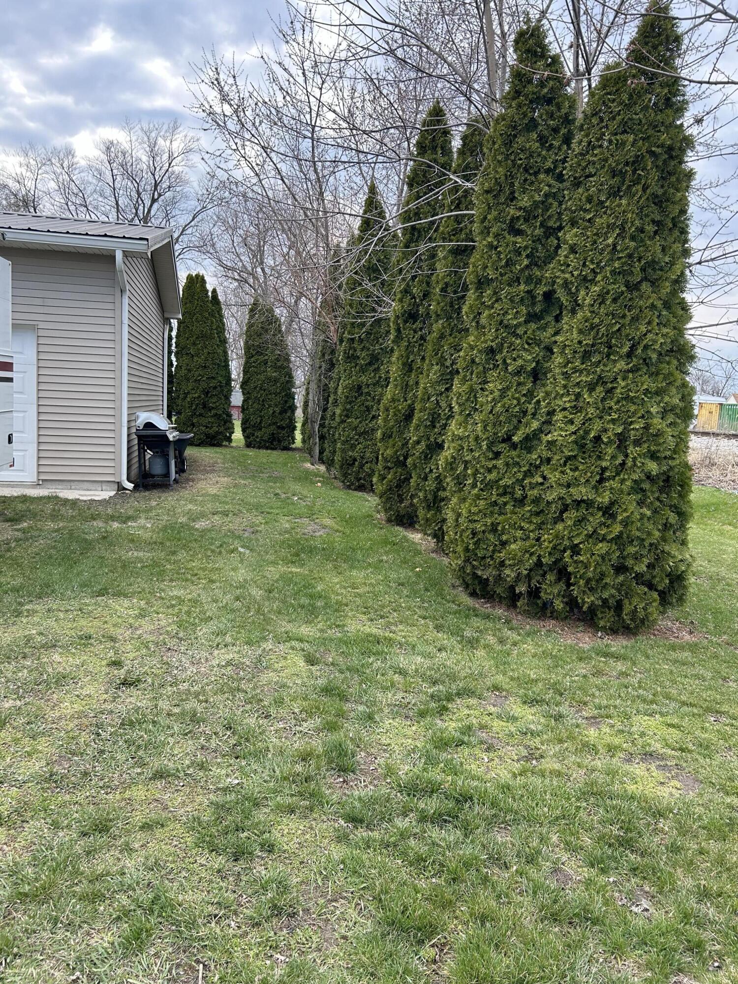 502 North Webster Street Rensselaer, IN 47978 - Photo 31 of 35 a view of a backyard with a garden