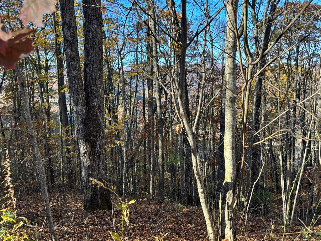 Lot#39 Falcon Stone Ridge Topton, NC 28781 - Photo 6 of 10