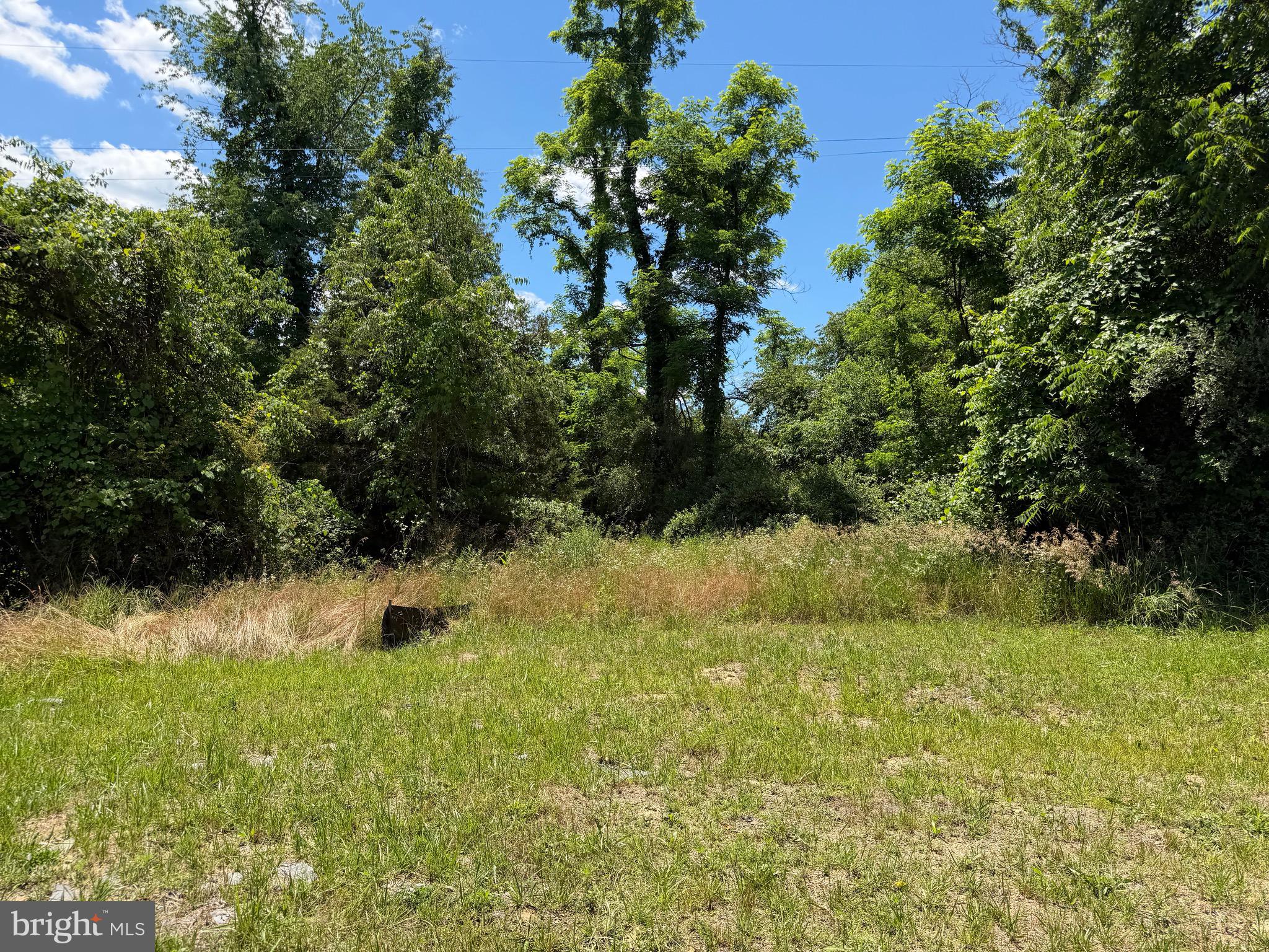 511 Chickadee Road Purgitsville, WV 26852 - Photo 38 of 99